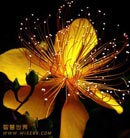 [滮]뿪뿿ǻ