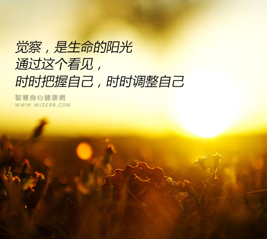 觉察是生命的阳光