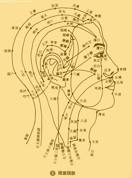 相由心生:看脸识健康——脸上的疾病地图